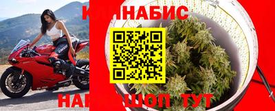 прущие крисы Новодвинск