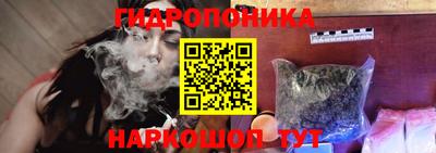 прущие крисы Новодвинск