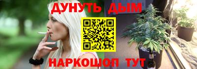 прущие крисы Новодвинск