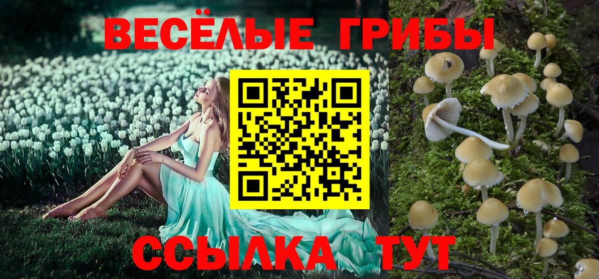Советская Гавань  Галлюциногенные грибы Cubensis  Псилоцибиновые грибы Psilocybine cubensis  Вход с VPN 